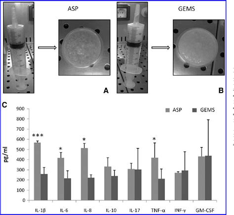 Figure 1 From The Adipose Mesenchymal Stem Cell Secretome Inhibits