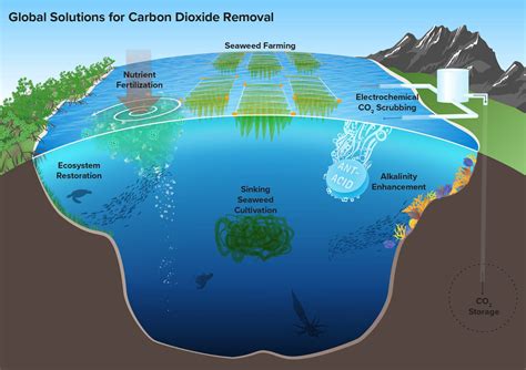 Carbon Dioxide Removal (CDR) ... To Clear The Air, Look