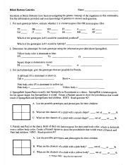 Bikini Bottom Genetics Pdf Course Hero