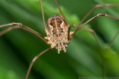 Photos Of The Week May The Prairie Ecologist