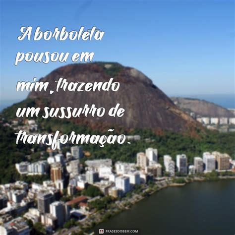 Borboleta Pousar Em Mim - Descubra o Significado Espiritual de uma Borboleta Pousando em Você ...