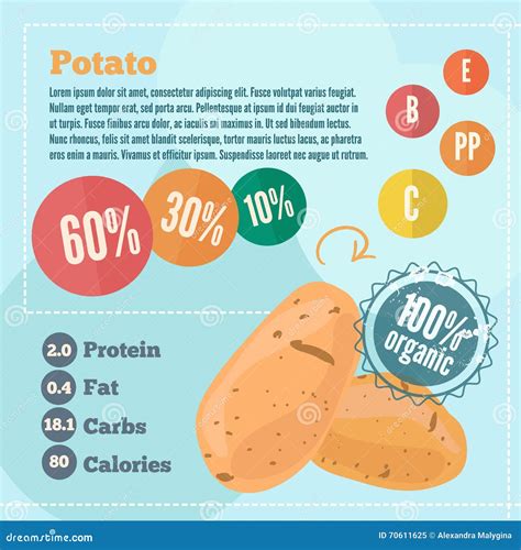 Potato Infographics And Vitamins In A Flat Style Stock Vector