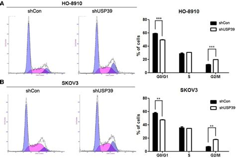 Usp39 Silencing Induced G2m Cell Cycle Arrest Flow Cytometric Assay