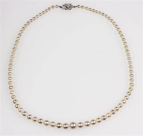 Lot Saltwater Akoya Pearl Necklace