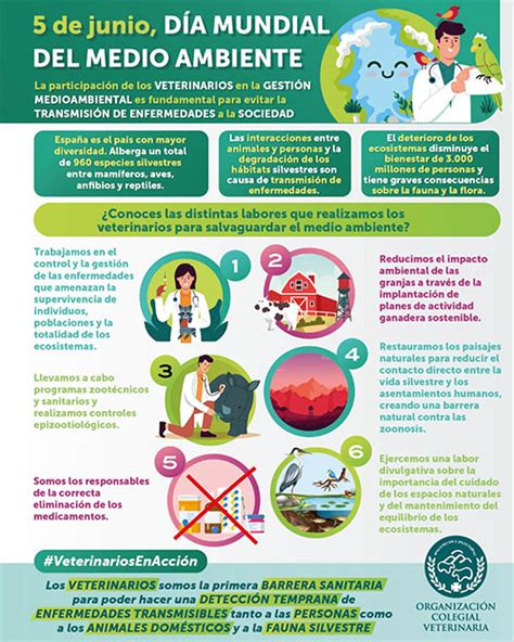 Cómo influye el medio ambiente en la salud Incluye VÍDEO