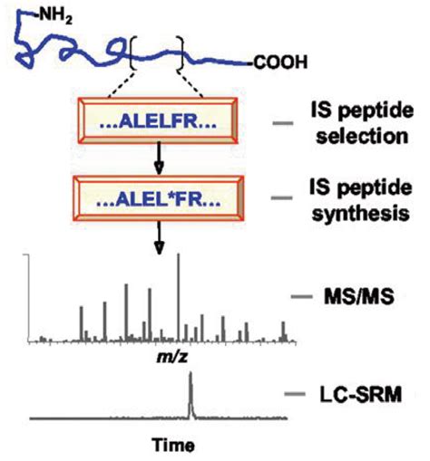 Creative Proteomics Introduces Innovative Absolute Quantification Aqua