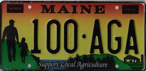 maine license plate - Google Search | License plate, Supportive, Maine