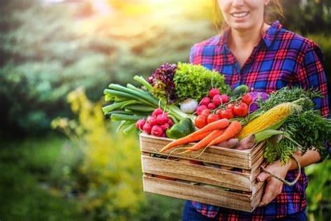 Mistakes You Re Making When Growing Your Own Food