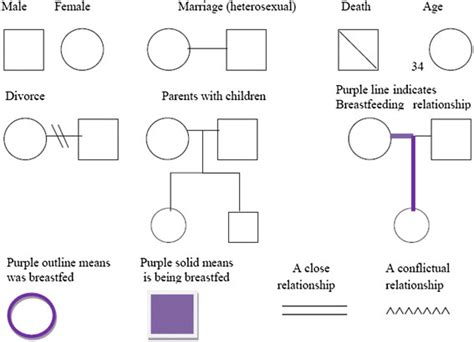 Genogram Legend Symbols