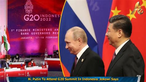 Xi Putin To Attend G20 Summit In Indonesia Jokowi Says