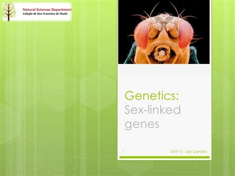 Genetics Sex Linked Genes Ppt Download