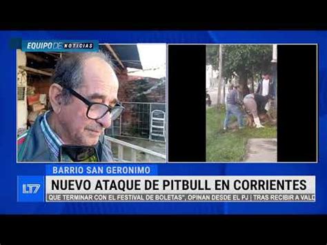 Otro Ataque Feroz De Un Pitbull En Corrientes Charlamos Con El Due O