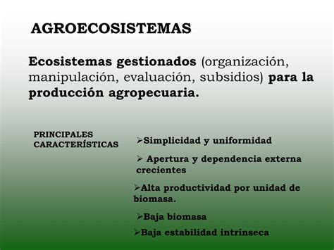 PPT ECOSISTEMAS Y AGROECOSISTEMAS Estructura Funciones Y