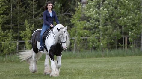 Heartland Season 13 Episode 5 Review