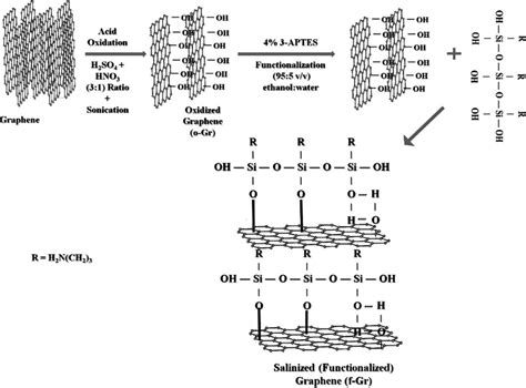 Schematic representation of silanization process of graphene via... | Download Scientific Diagram