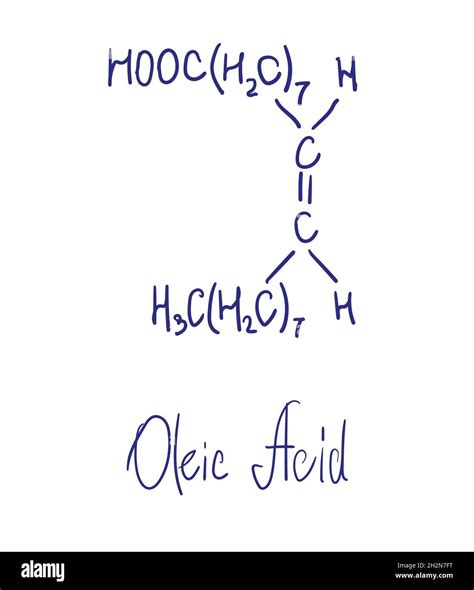 Oleic Acid Chemical Structure Vector Illustration Hand Drawn Stock Vector Image And Art Alamy