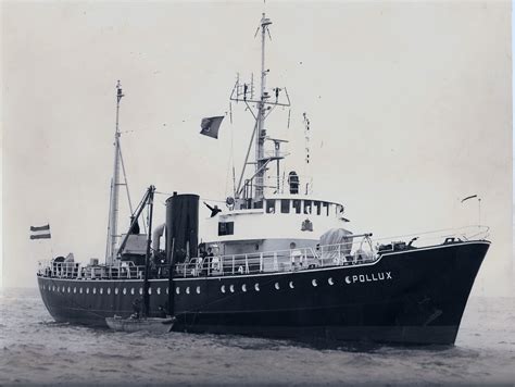 Pollux