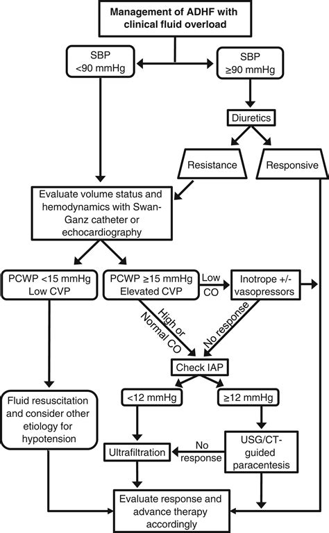 Intraabdominal Hypertension An Important Consideration For Diuretic