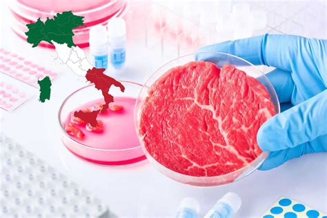 Carne Coltivata L Italia Cambia Idea La Decisione Presa