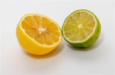 Citrus Juicy Fruit - Free photo on Pixabay