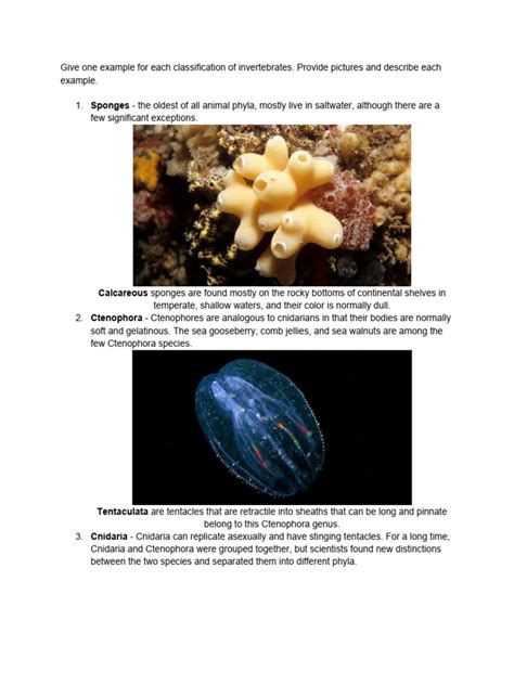 EXAMPLES OF INVERTEBRATES | PDF