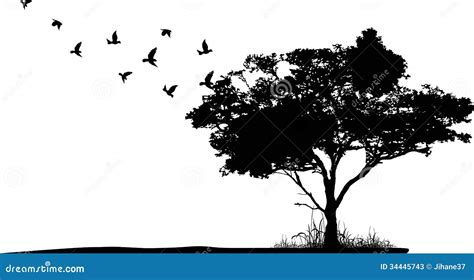 Tree Silhouette With Birds Flying Stock Illustration Illustration Of