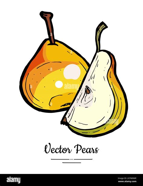 Pears Fruits Vector Isolate Red Pear Whole Chopped Quarter Slice Hand