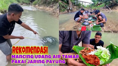 Mancing Udang Air Tawar Di Sungai Menggunakan Jaring Payung Pakai Umpan