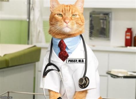 Pussy Doctor Blank Template Imgflip