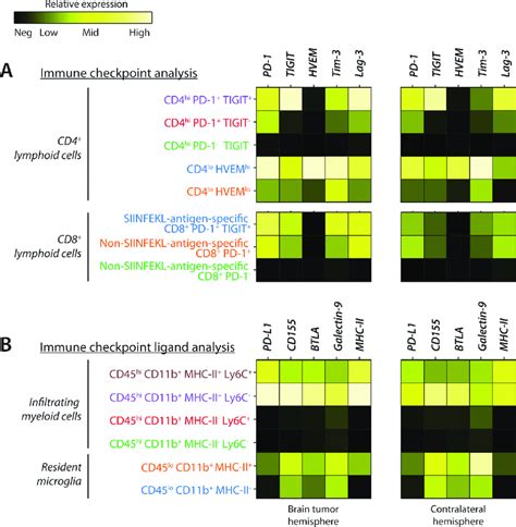 Expression Levels Of Immune Checkpoints And Corresponding Ligands In