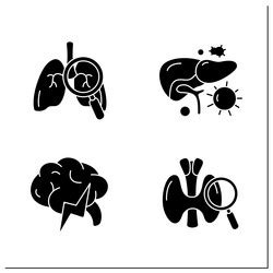 Human Internal Organs Glyph Icons Set Royalty Free Vector