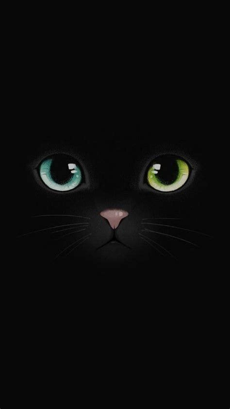 446 Wallpaper Dark Cat Picture - MyWeb