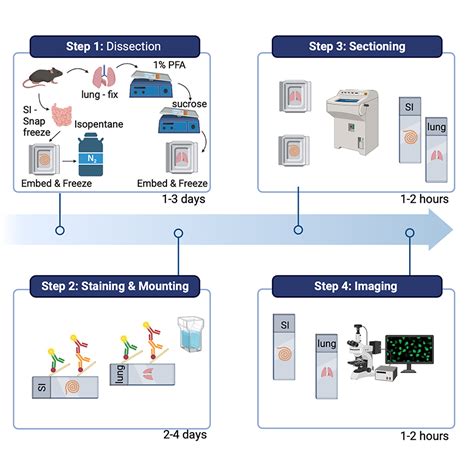 Cell Press Star Protocols