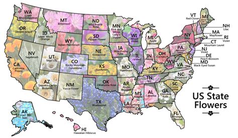 50 STATE FLOWERS MAP - American Horticultural Society