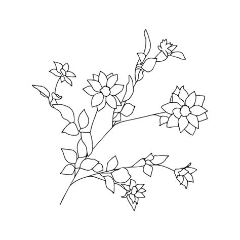 Premium Vector | Flower line art minimalist contour drawing line art