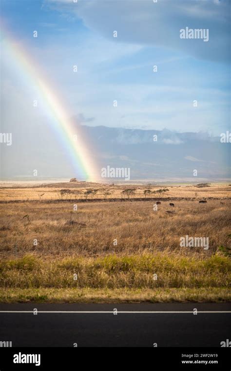 Hawaii Maui Rainbow Stock Photo Alamy