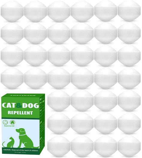 What Essential Oils Repel Dogs