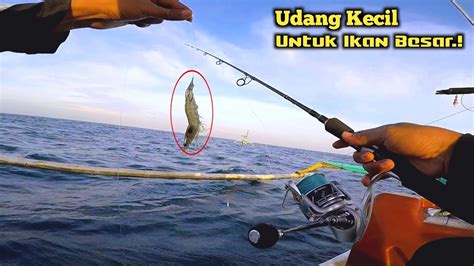 Full Pesta Strike Sambaran Ikan Besar Di Satu Spot PART 1