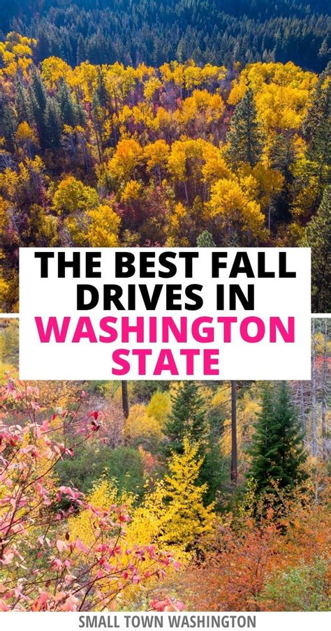 Three Favorite Scenic Fall Drives In Washington State For A Fall