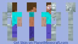 Steve Congelado Anatomico Minecraft Skin