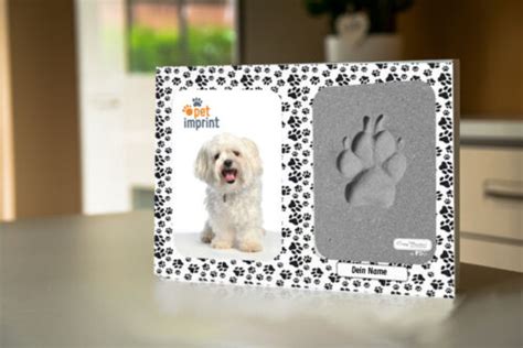 Erinnerung Pet Imprint Pfotenabdruck Mit Formschaum Hund Katze Tier Ebay