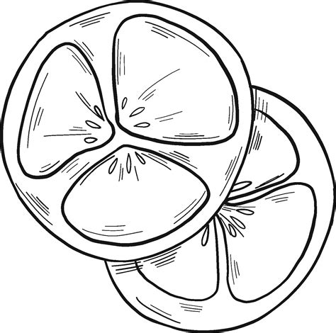 Sliced Tomato Coloring Page ColouringPages