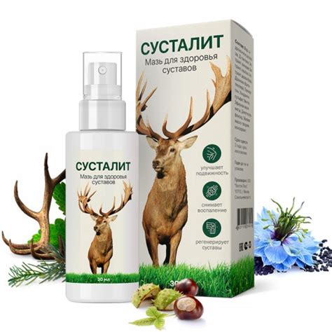 Суставы