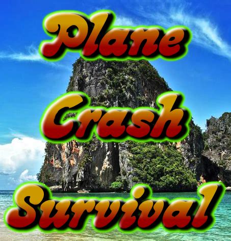 Plane Crash Survival - Play Online on Flash Museum 🕹️