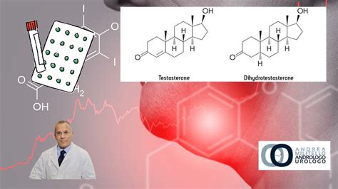 L ormone più potente del Testosterone Il DHT The most powerful