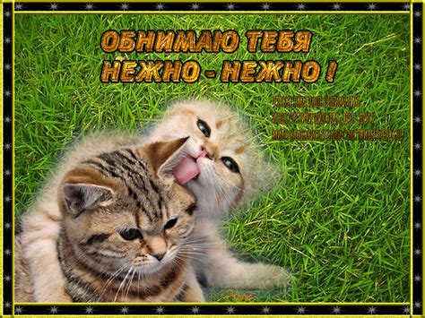 Картинки и Открытки Обнимаю - скачать бесплатно