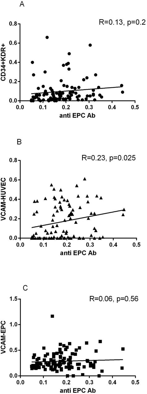 Serum Anti Epc Levels Were Correlated With Circulating Cd Kdr Epc A