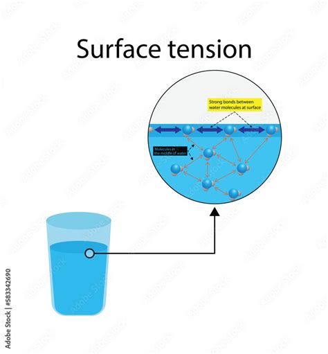 Illustration Of Physics Surface Tension Of Water The Cohesive Forces