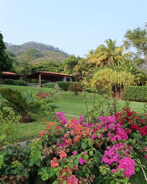 86 El salvador ideas in 2025 | el salvador, el salvador culture, el