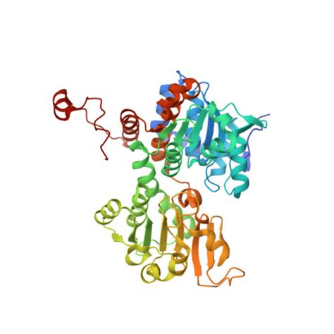 Rcsb Pdb Ajw Crystal Structure Of The Q N Mutant Of S Adenosyl L